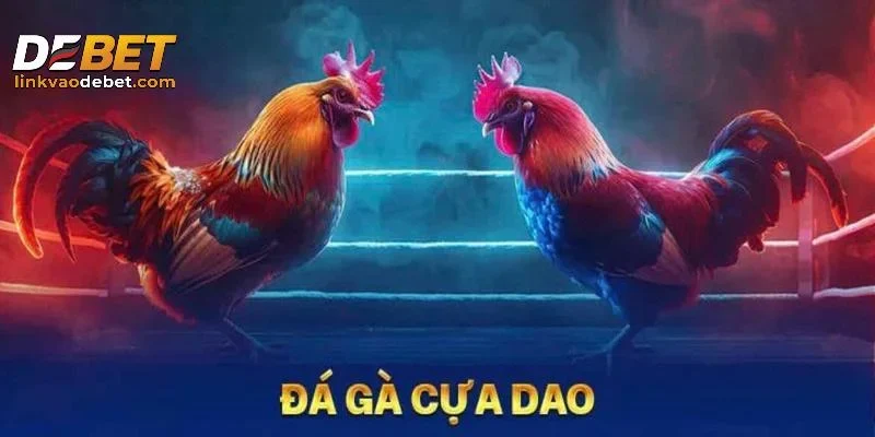Chiến thuật và bí quyết chơi đá gà hiệu quả